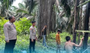 FB_IMG_1772244657811