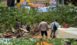 FunPic_20260411_185930275_1