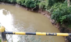 IMG-20260407-WA0033-1