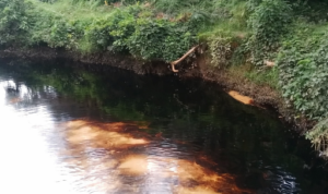 file_000000008d147208889e41e64caae24f